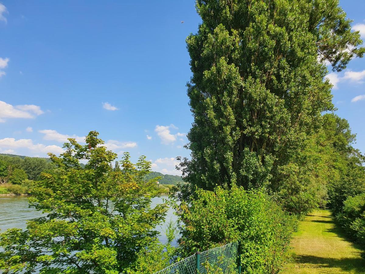 Ferienhaus Am Donauspitz Kelheim Extérieur photo